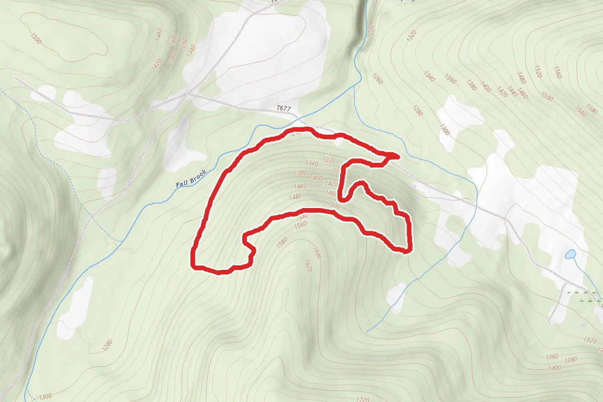 Bunny Trail