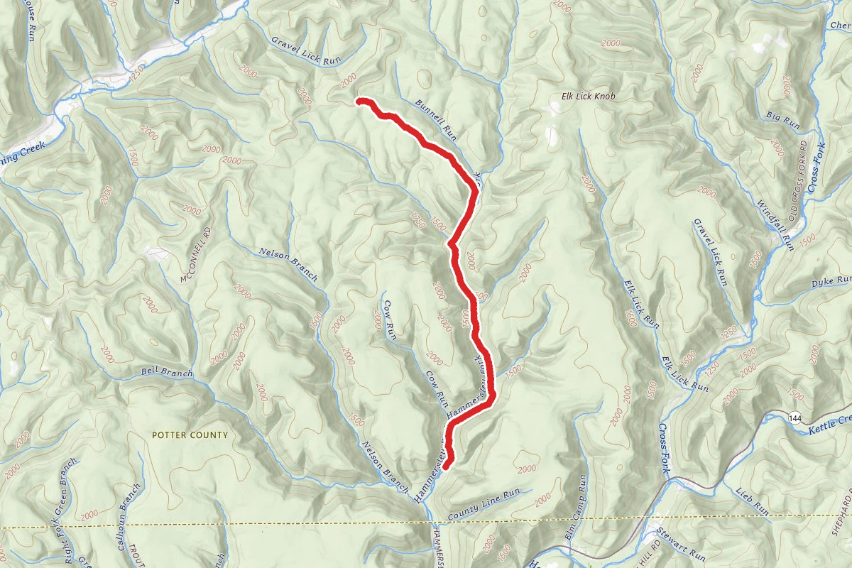 Hammersley Trail via Bunnell Ridge Trail