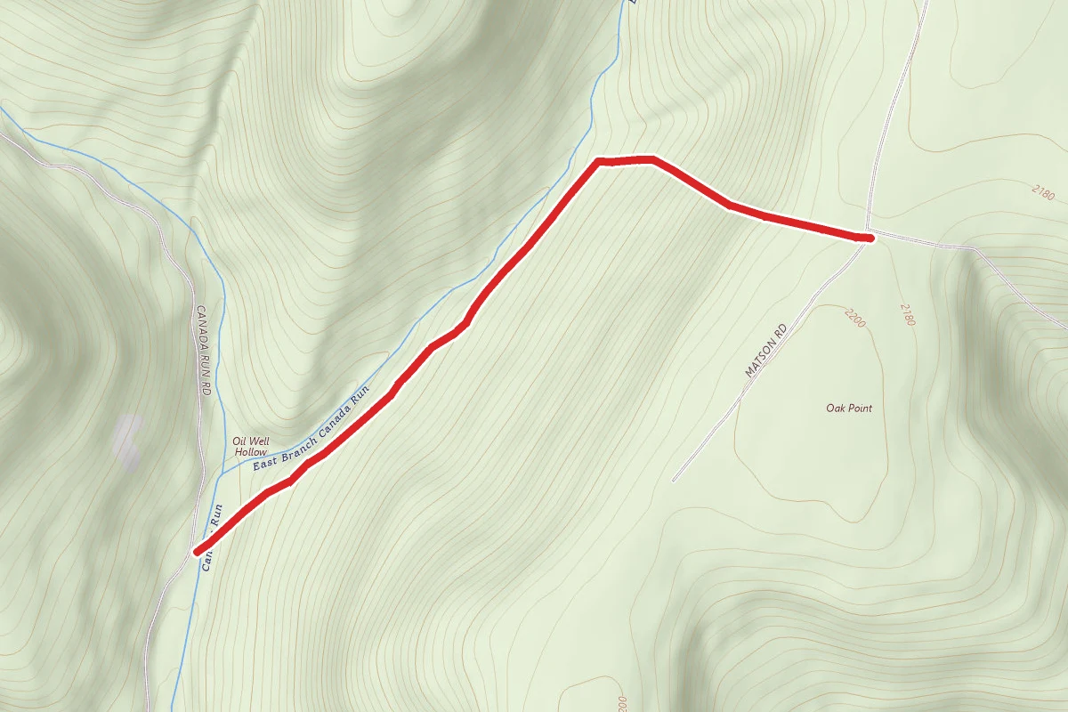 Bark Slide Trail