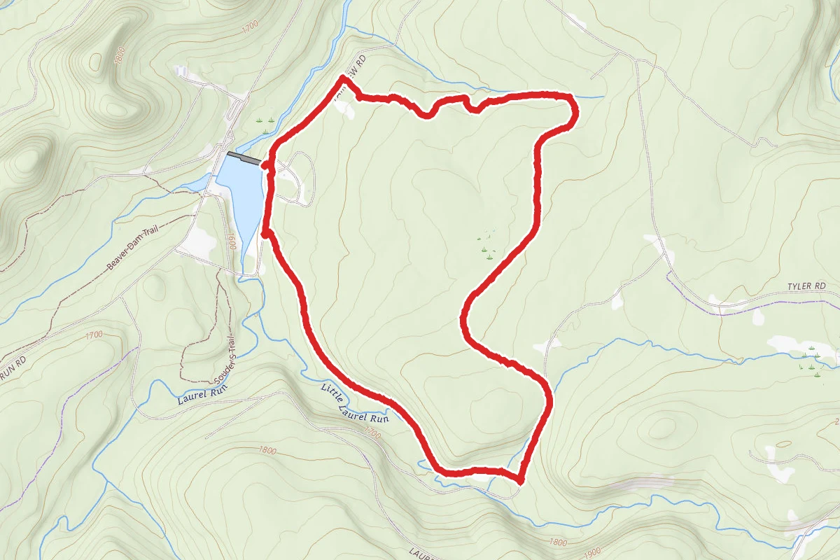 Quehanna Trail - Spurline Trail Loop