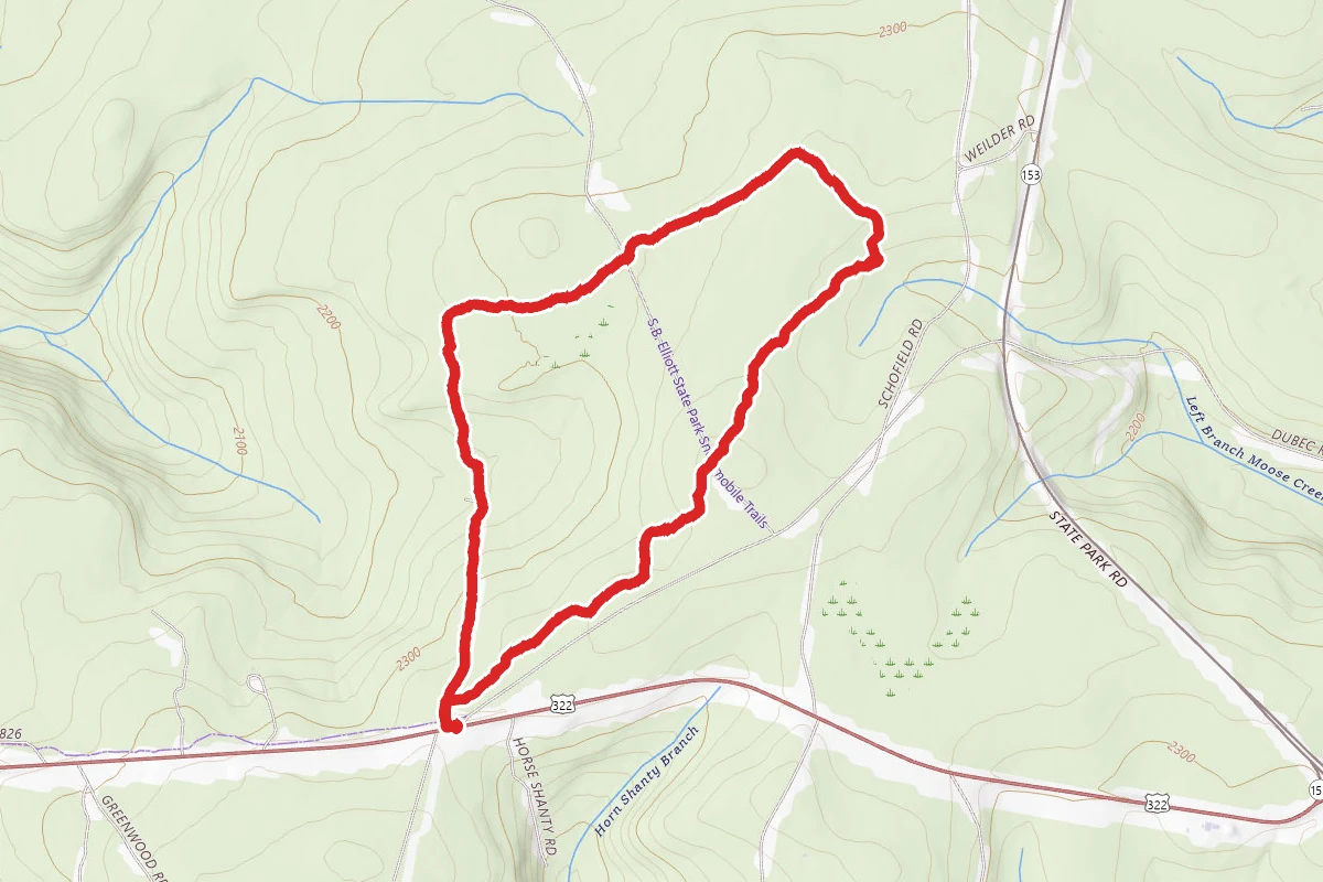 Kelly Cellar Loop