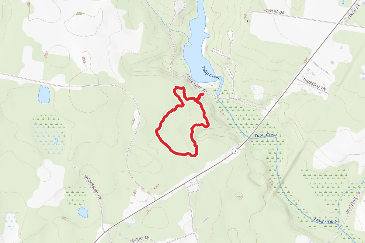 Fern Hill Trail Loop