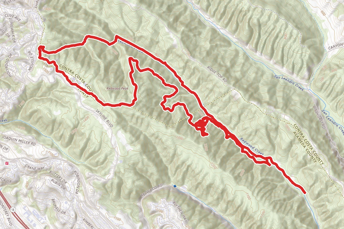 Redwood Gate to West Ridge Loop