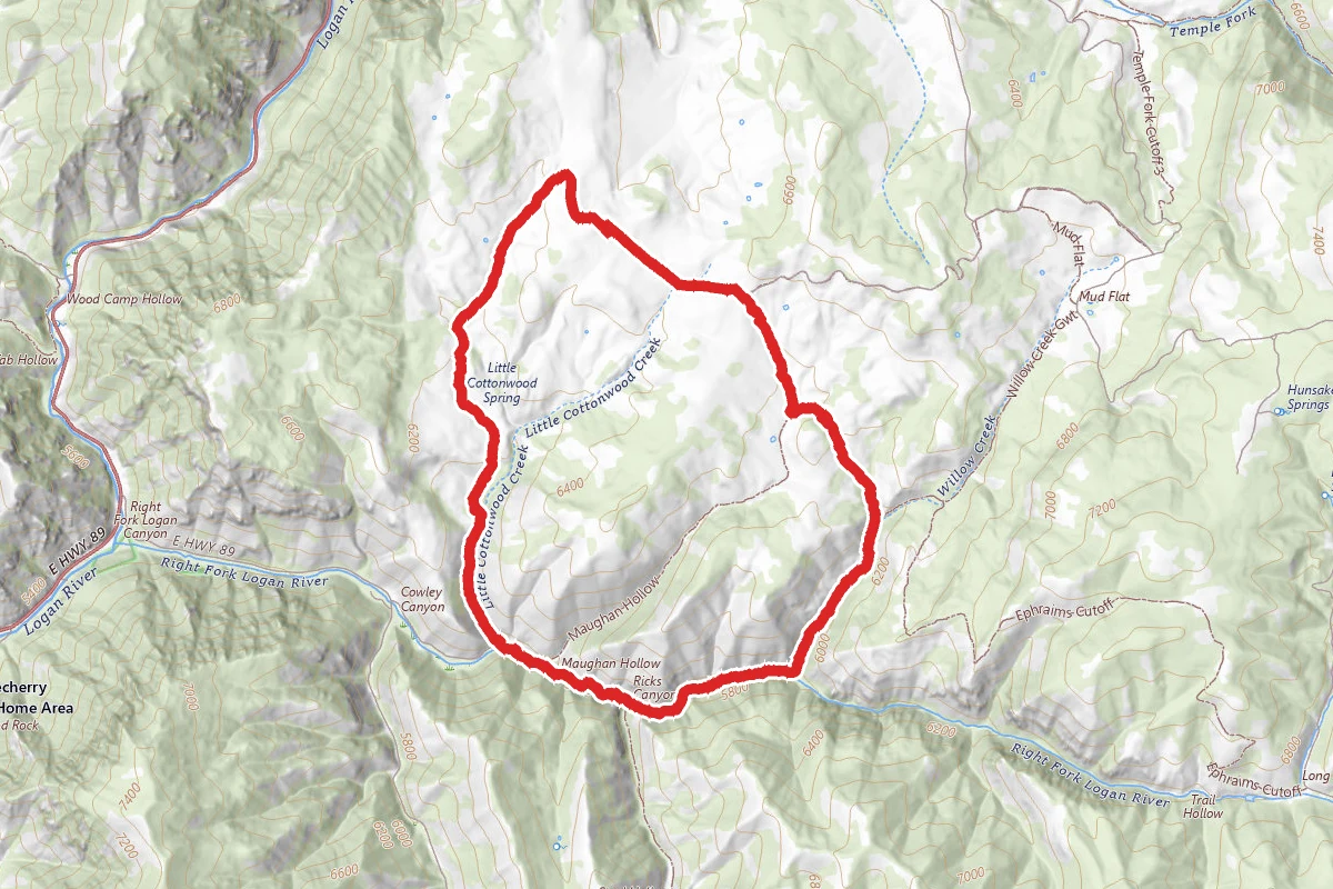 Willow Creek and Little Cottonwood Creek Loop