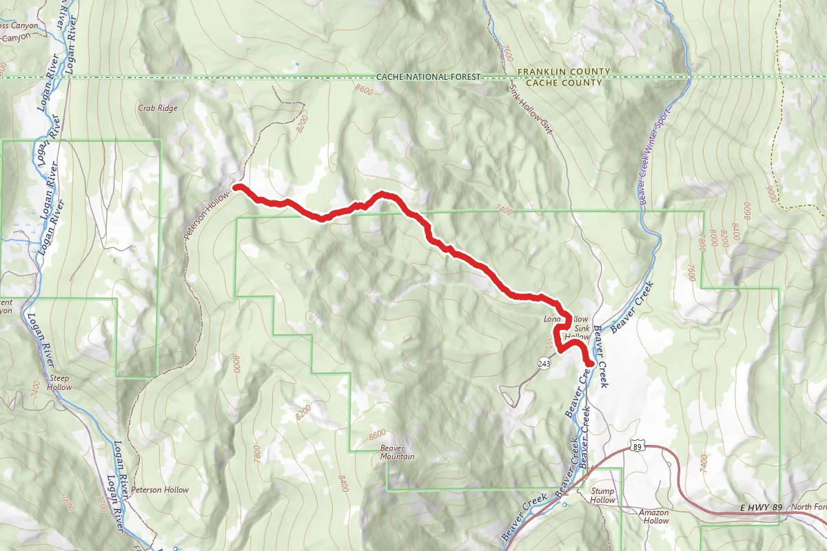 Long Hollow Ridge