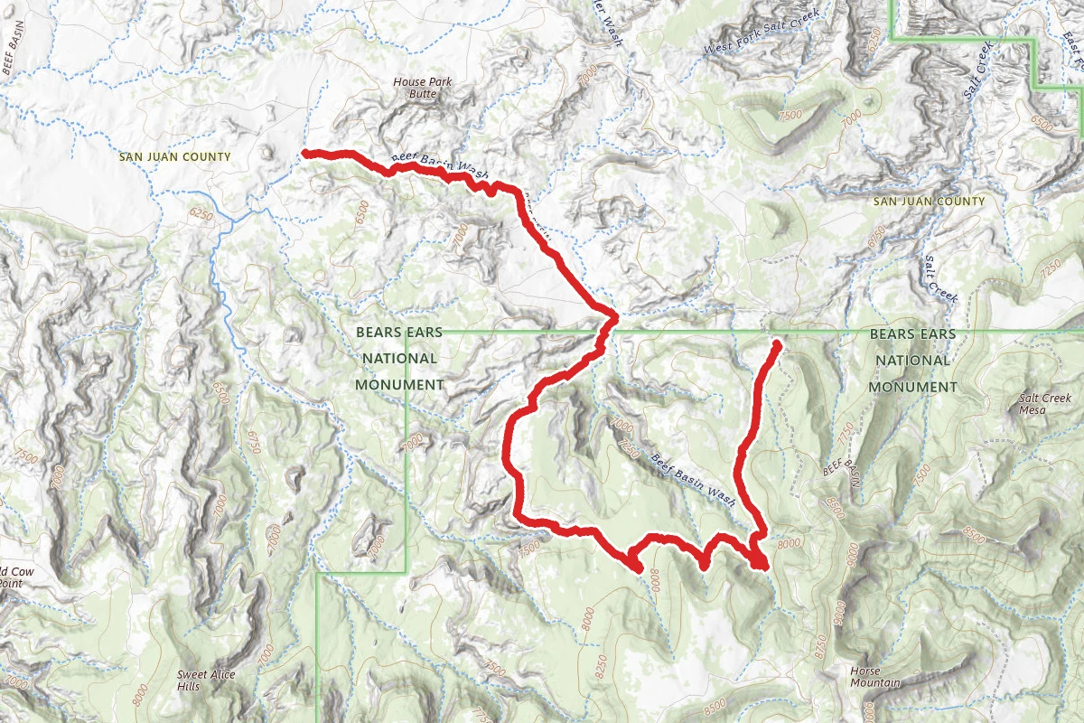 Beef Basin OHV Trail