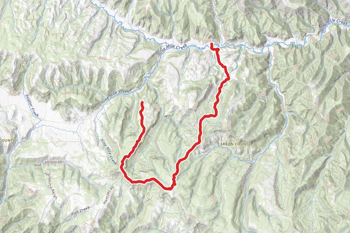 Nine Mile Canyon OHV Trail