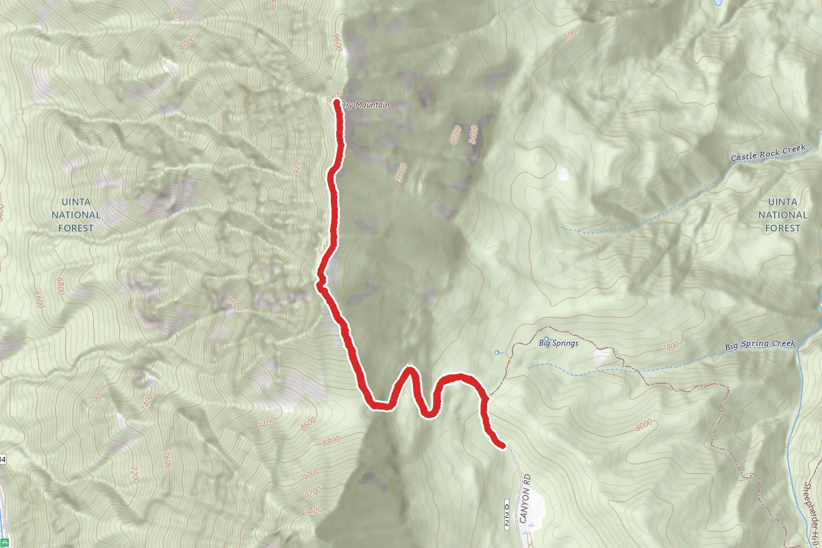 Dry Mountain Trail