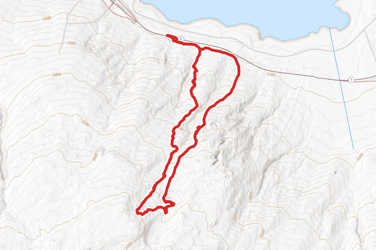 Milt's Mile Extended OHV Loop