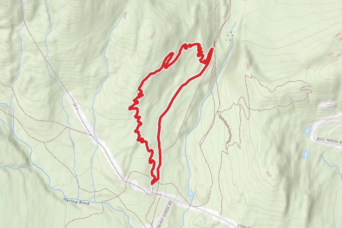 Callagy’s Trail to Catamount Trail Loop