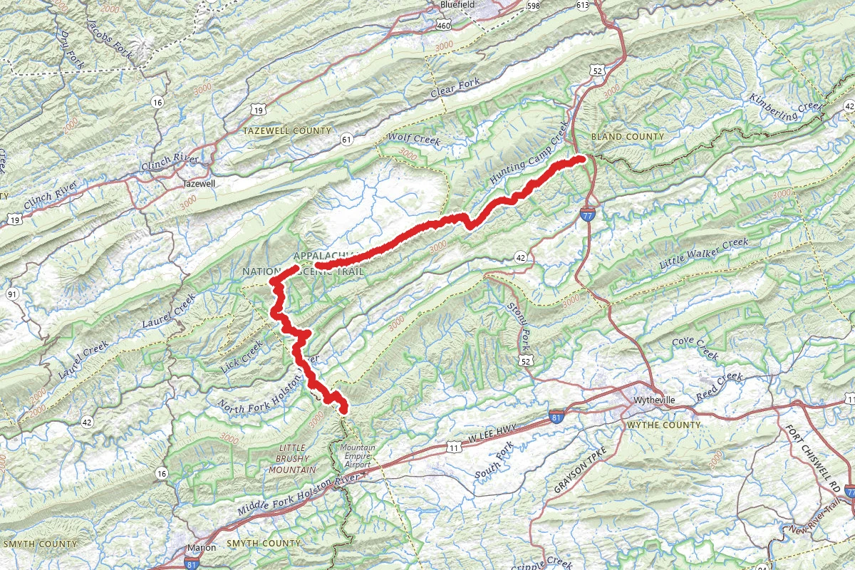 Garden Mountain, Chestnut Ridge, and Brushy Mountain via Appalachian Trail