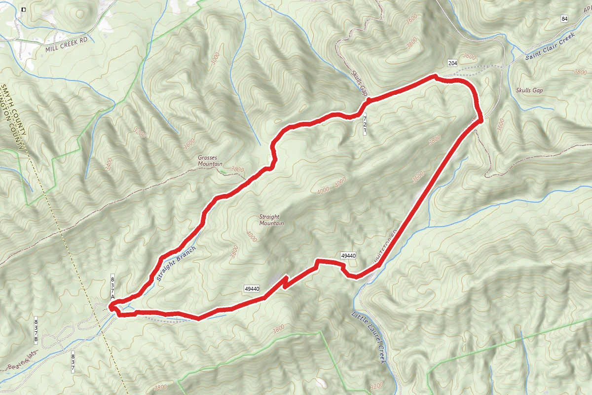 Iron Mountain to Old Bear Tree Campground Loop