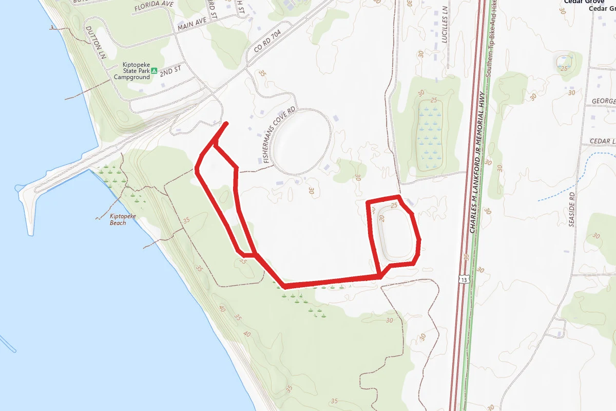 Baywoods, Raptor and Taylor Pond Loop