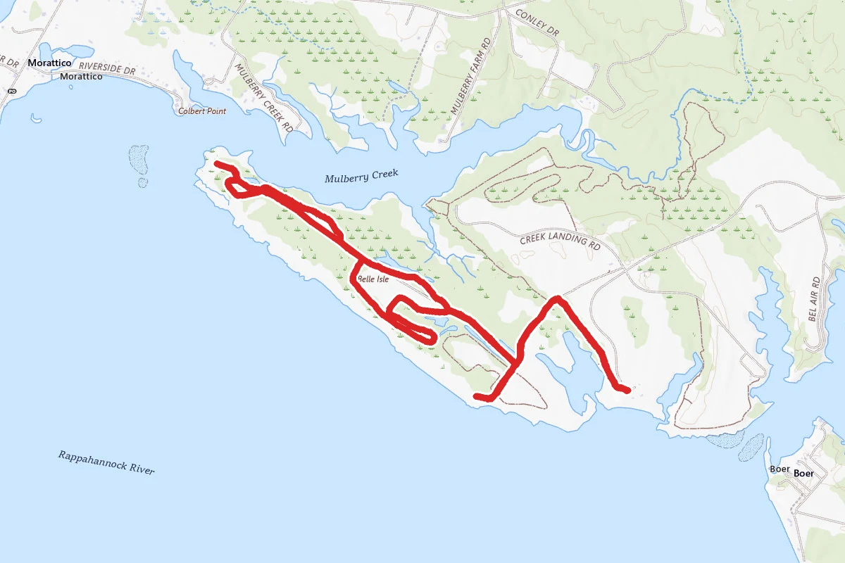 Neck Fields and Brewer's Point via Porpoise Creek Trail