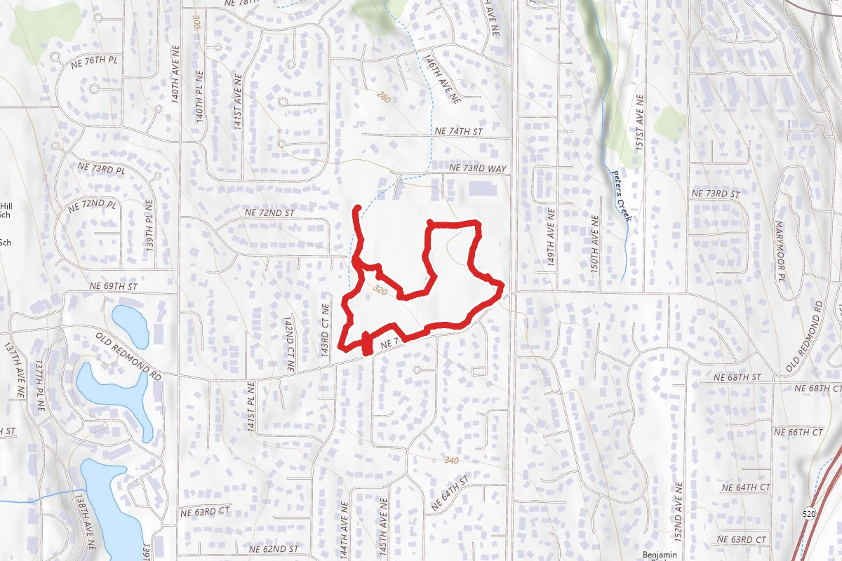 Grass Lawn Park Walk