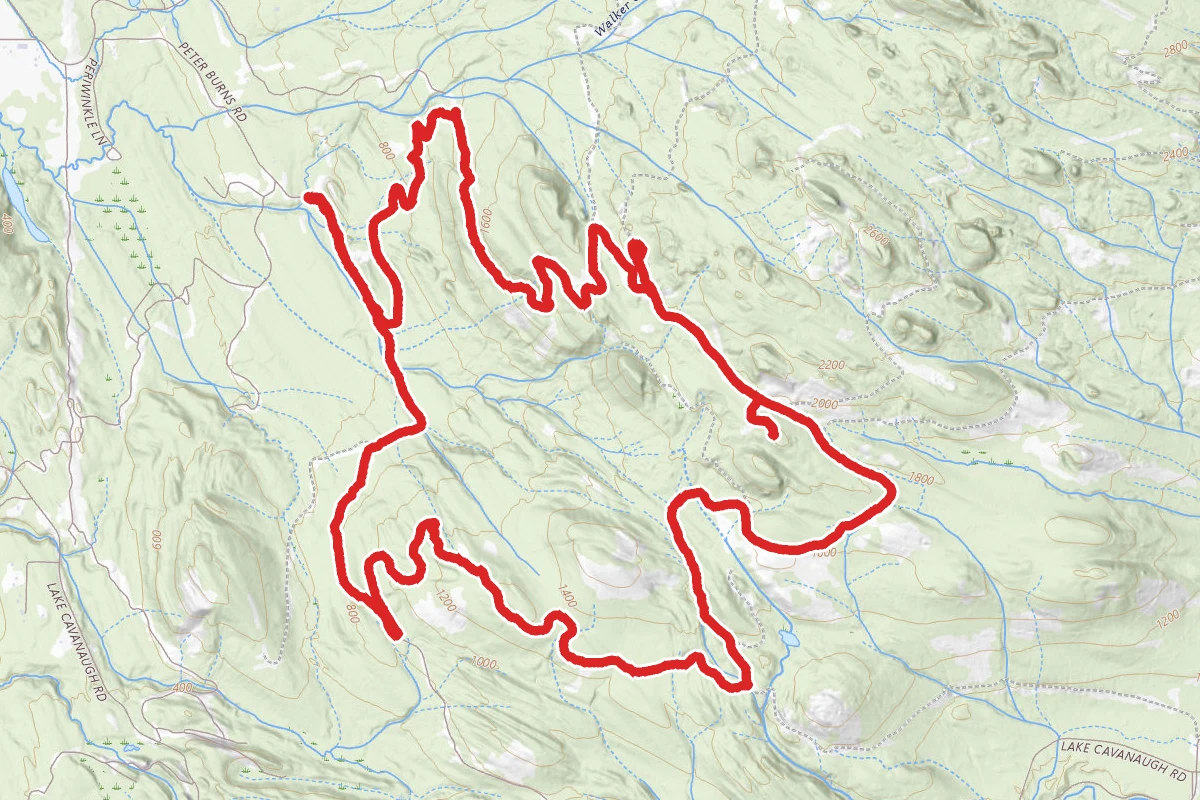 Walker Valley Upper Mainland, WV-22 and Bear Creek OHV Loop