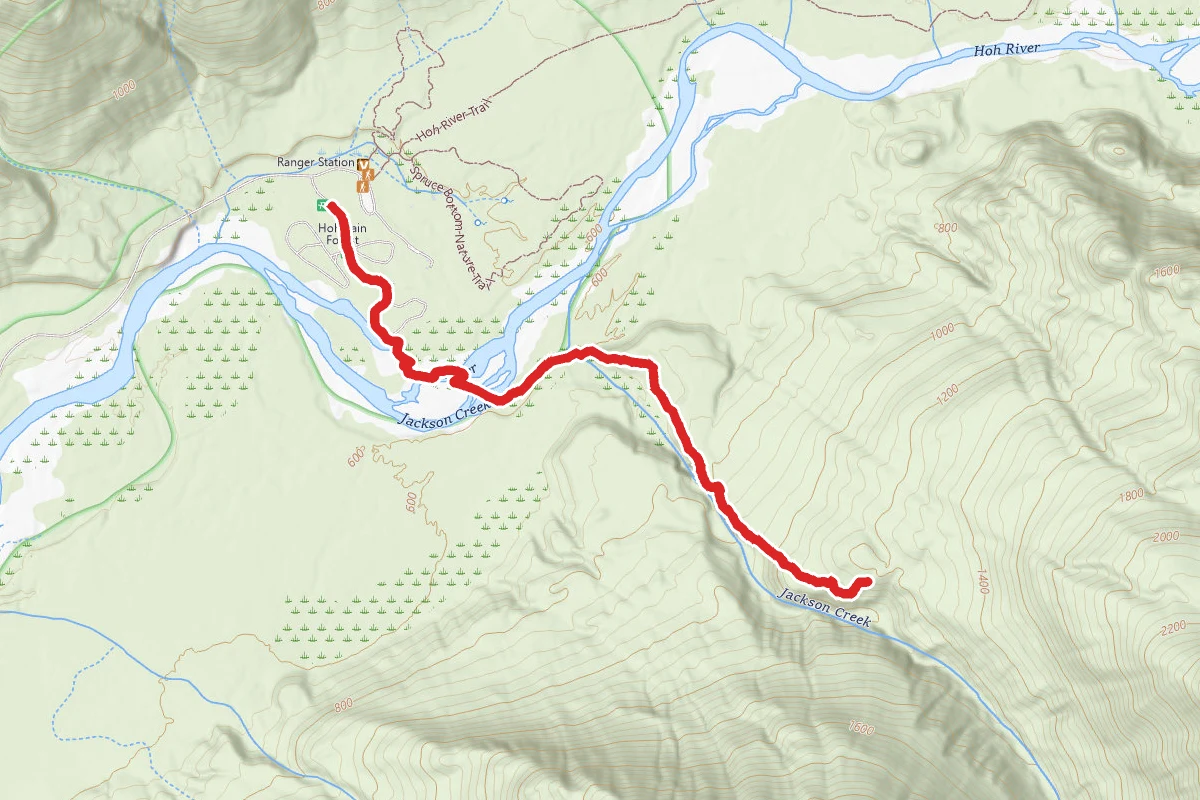 Hoh River and Jackson Creek Trail