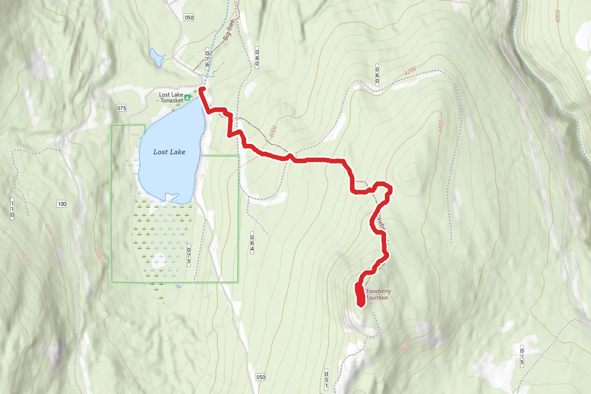 Strawberry Mountain via Strawberry Trail #309