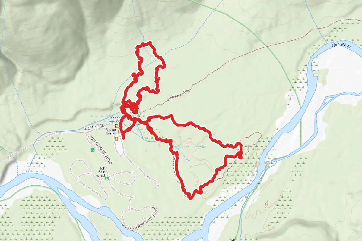 Spruce Nature Trail and Hall of Mosses Loop