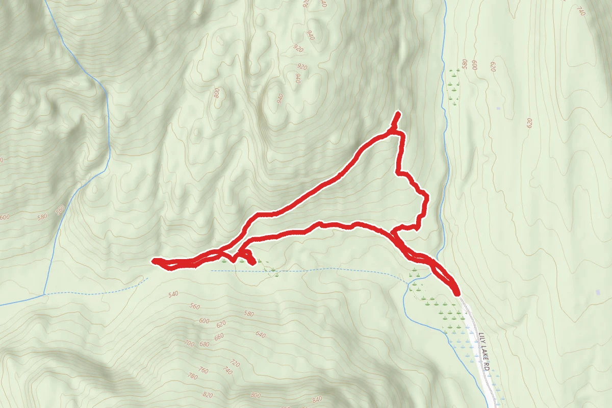 Samish Bay Mainline to Oldcamp Loop