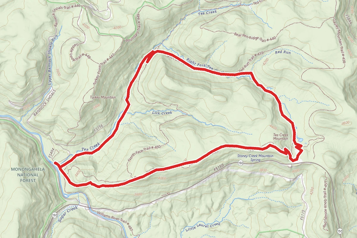 Tea Creek Mountain-North Fork Loop