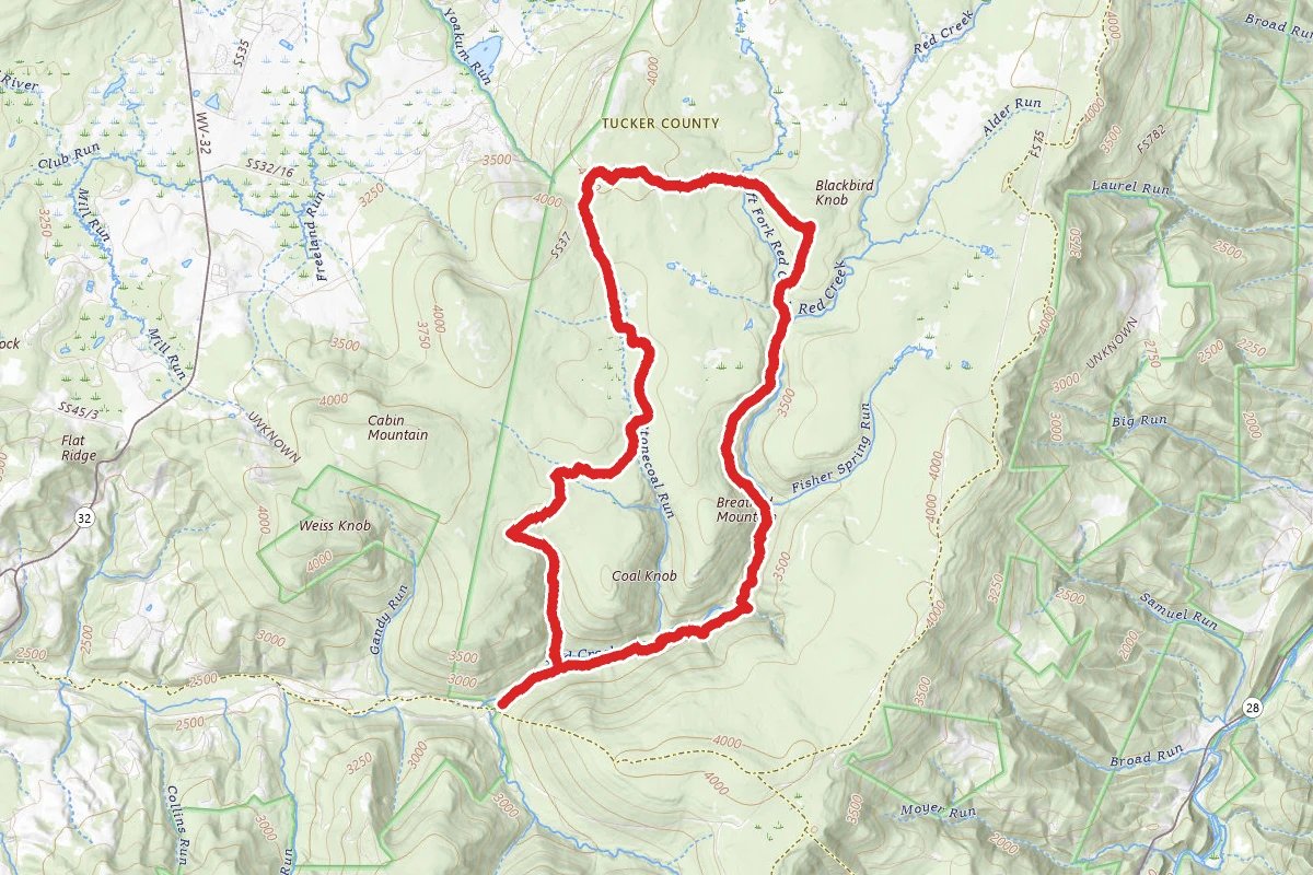 Red Creek, Blackbird Knob, Dunkenbarger and Little Stonecoal Loop