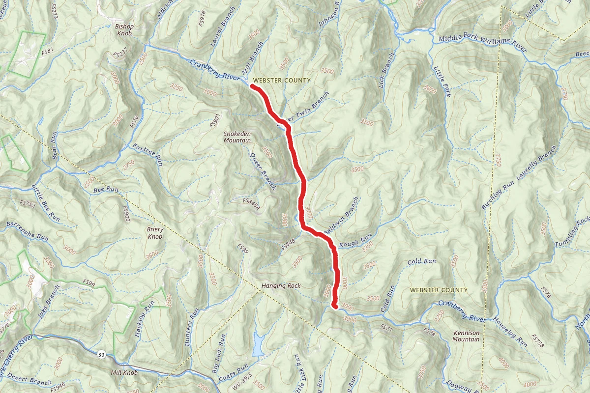 Cranberry River Road