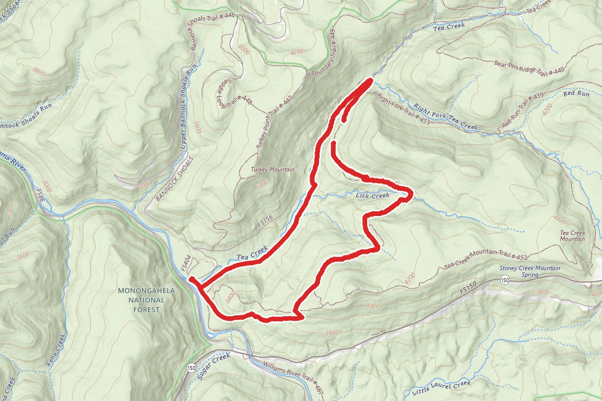 Tea Creek Loop