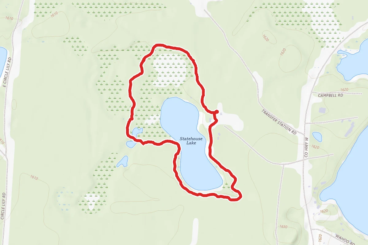 Bog Boardwalk and Lookout Loop