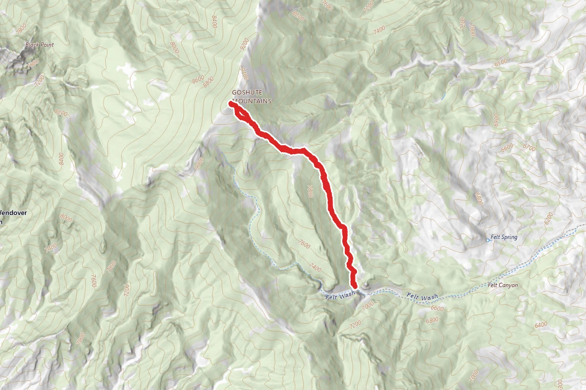 Goshute Peak Bushwhack