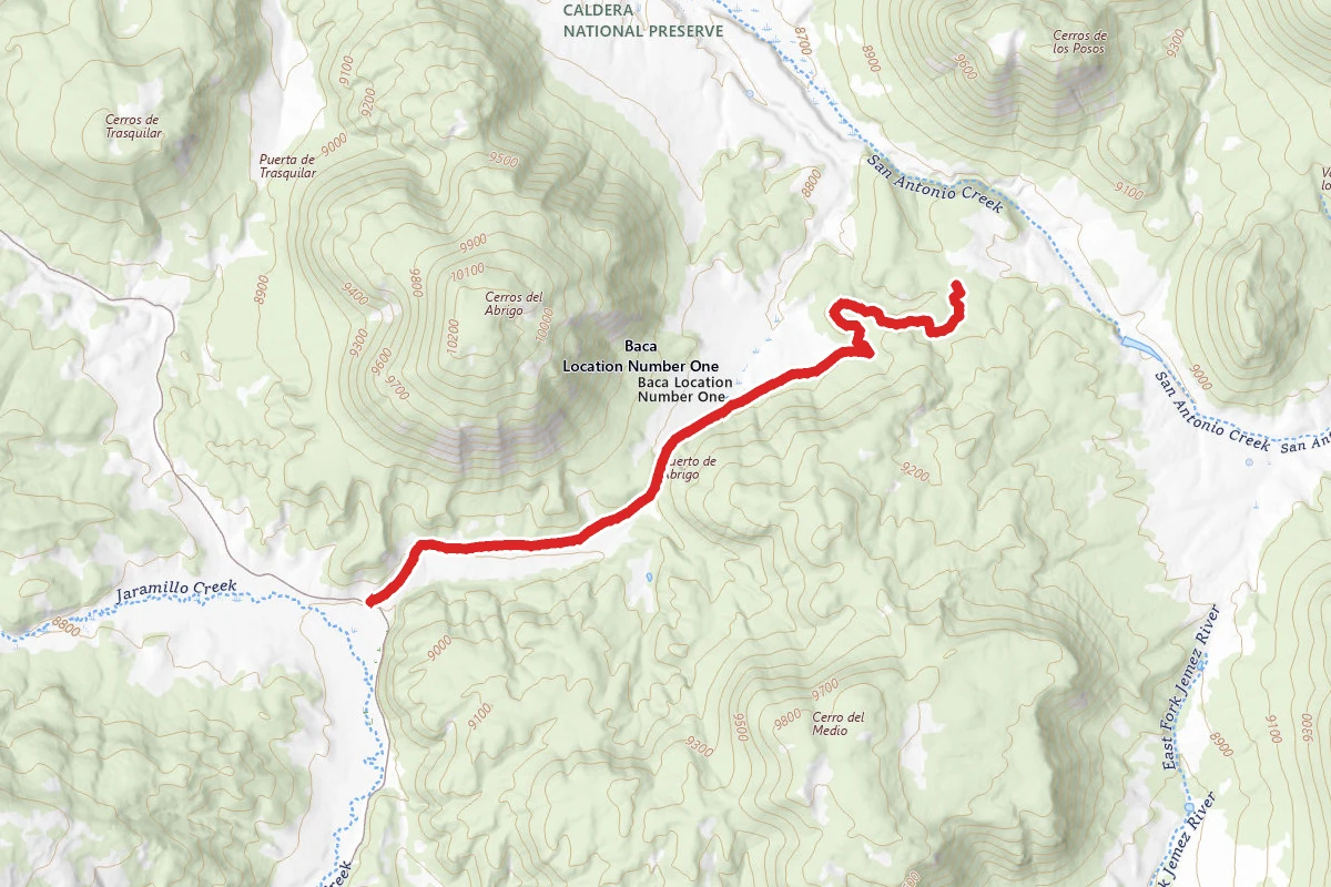 Valles Caldera Trail 05