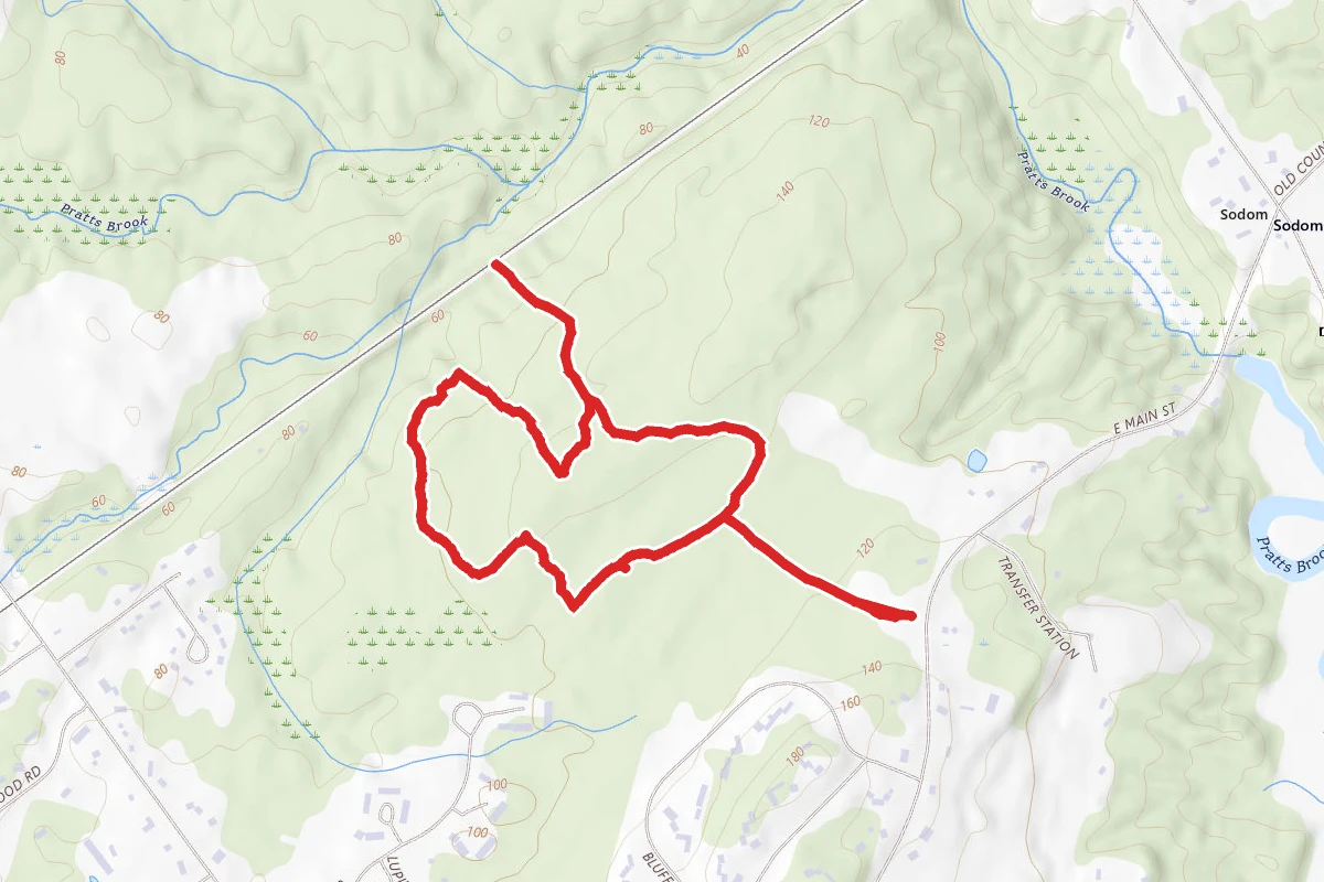 Frank Knight Forest Nature Walk