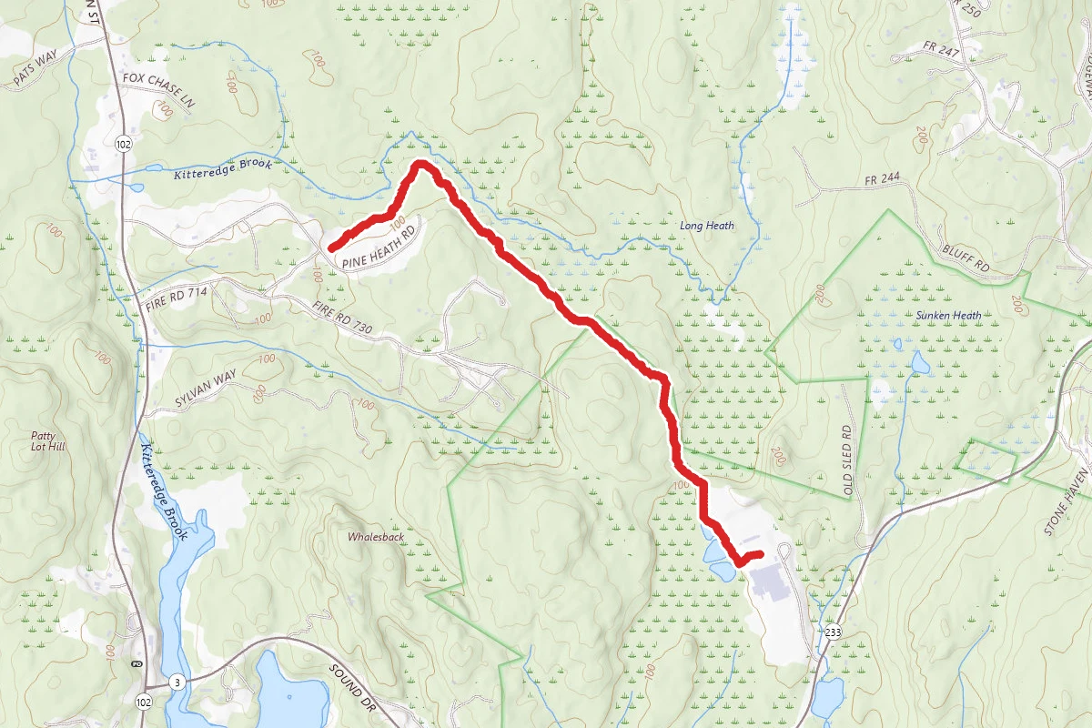 Kittredge Brook Forest Trail