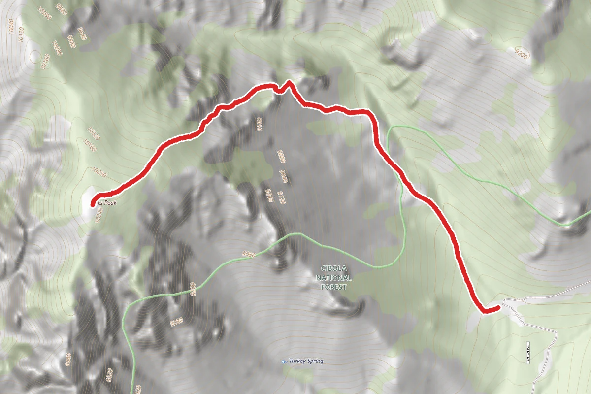 Vick's Peak via Rock Springs Canyon