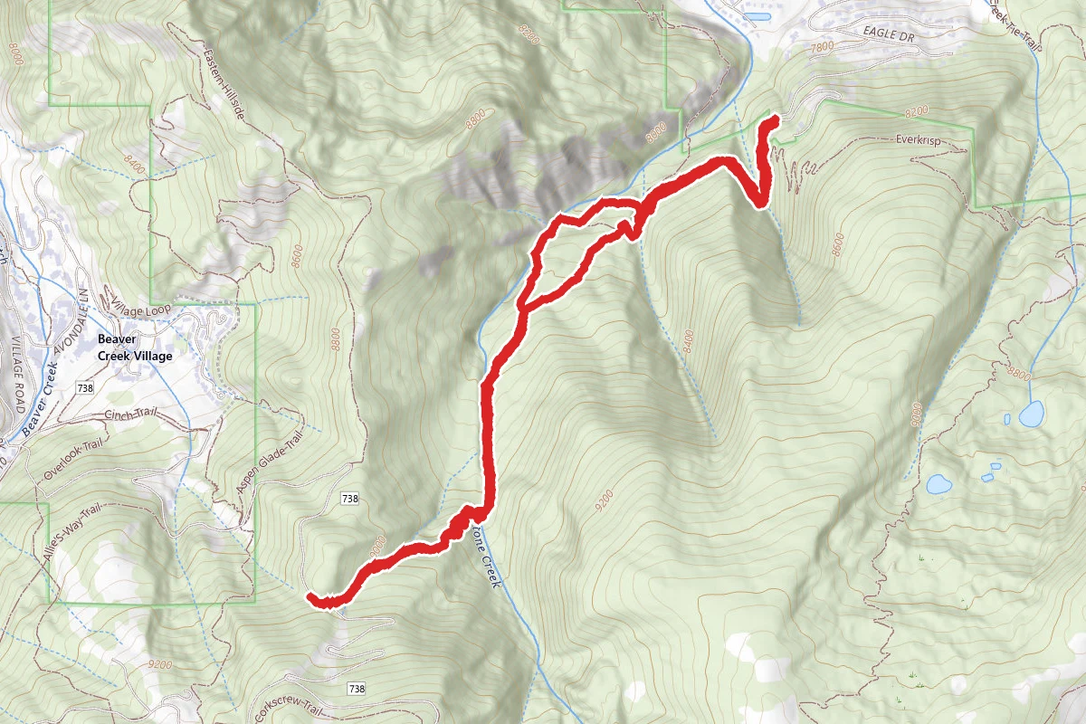 Paulie's Plunge Trail