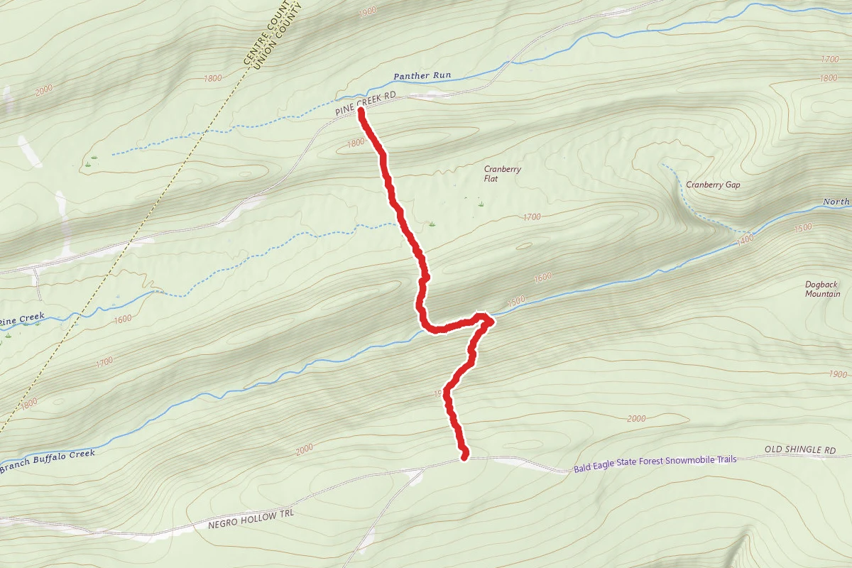 Braucher Path