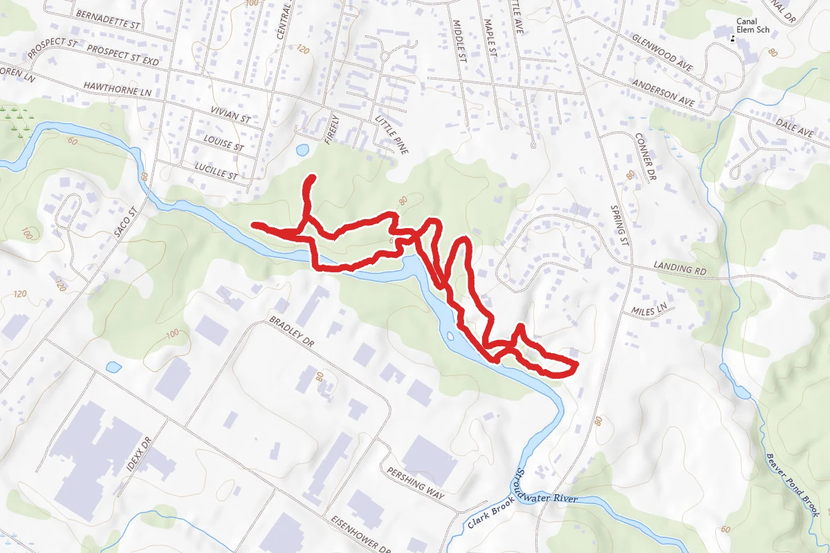 Blue Spruce Trail
