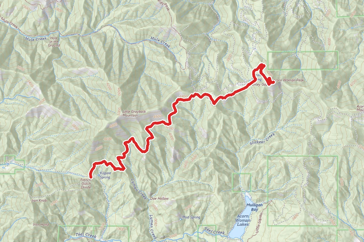 Little Grayback Trail #921