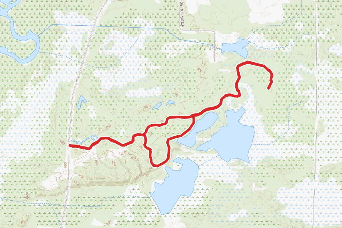 Navarino Loop Trail