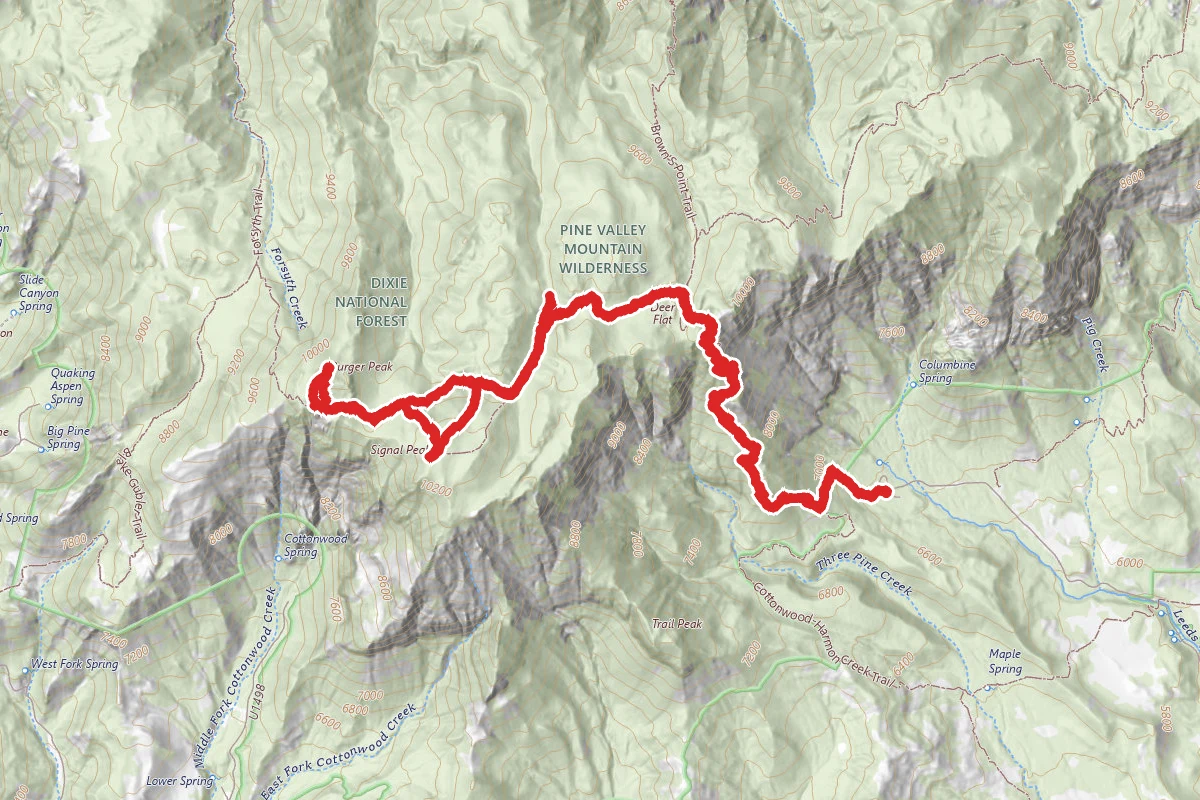 Burger and Signal Peaks Loop