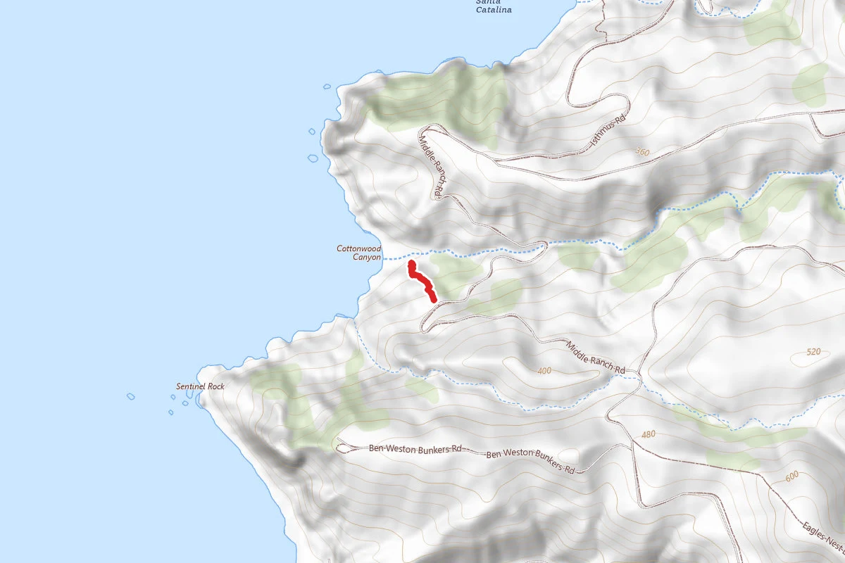Cottonwood Beach Trail