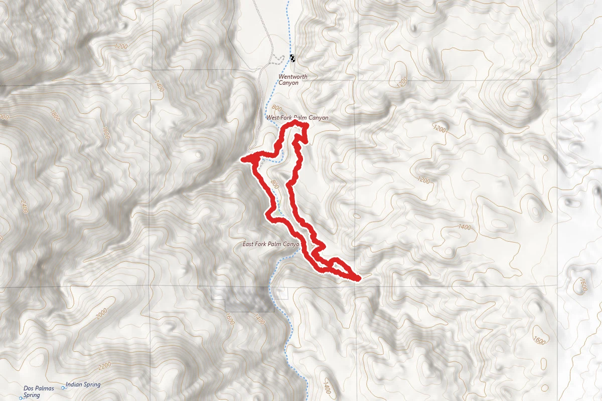 Victor Loop