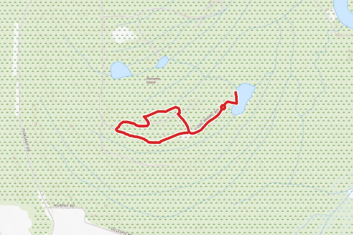 Palmetto Island Loop