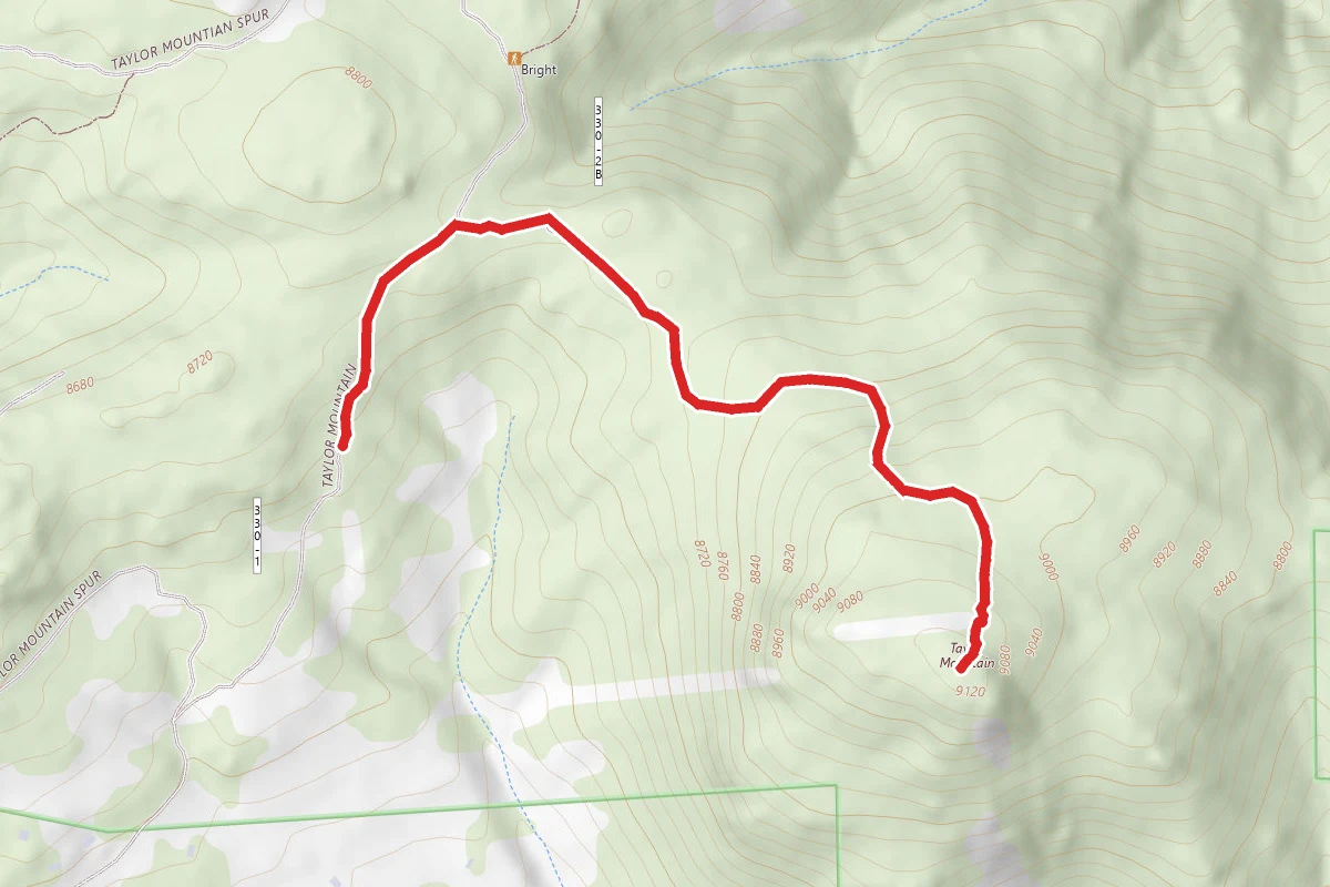 Taylor Mountain Peak Trail