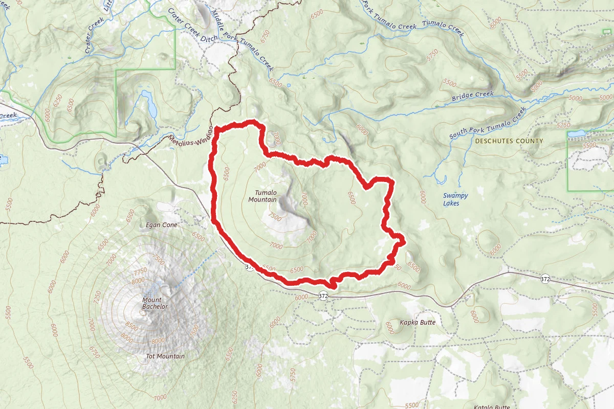 Flagline Trail to Swampy-Dutchman Trail Loop