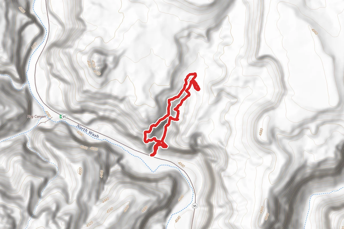 Merry Piglet Trail
