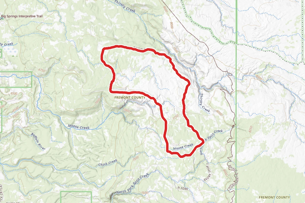 Latham Spring Loop