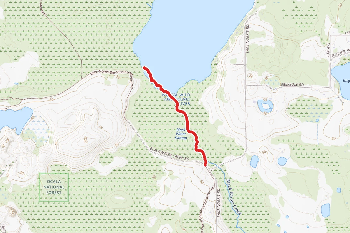 Blackwater Creek and Lake Norris