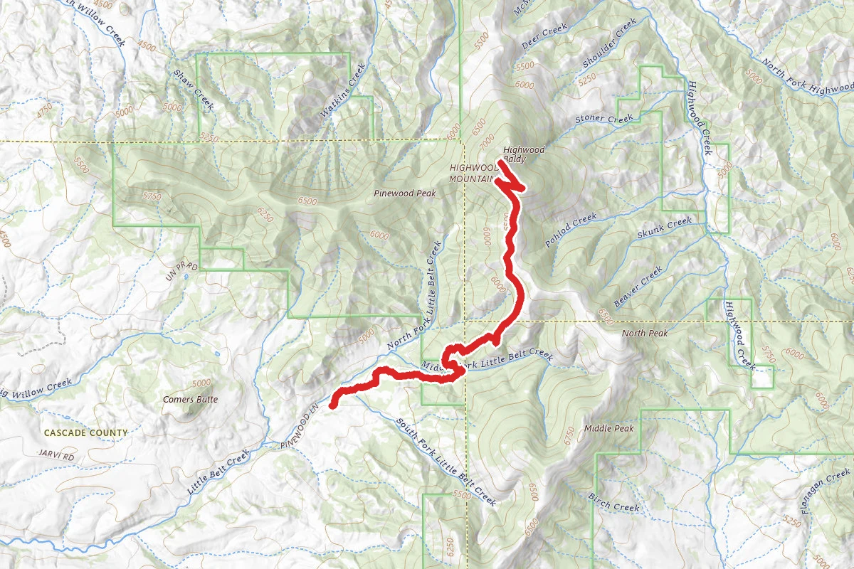 Road to Highwood Baldy
