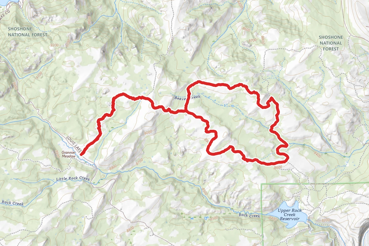 Pine Loop